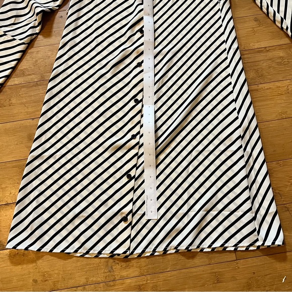 GORGEOUS H&M Stripe Button Down Dress - Picture 10 of 10